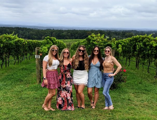 charlotte vineyard tours